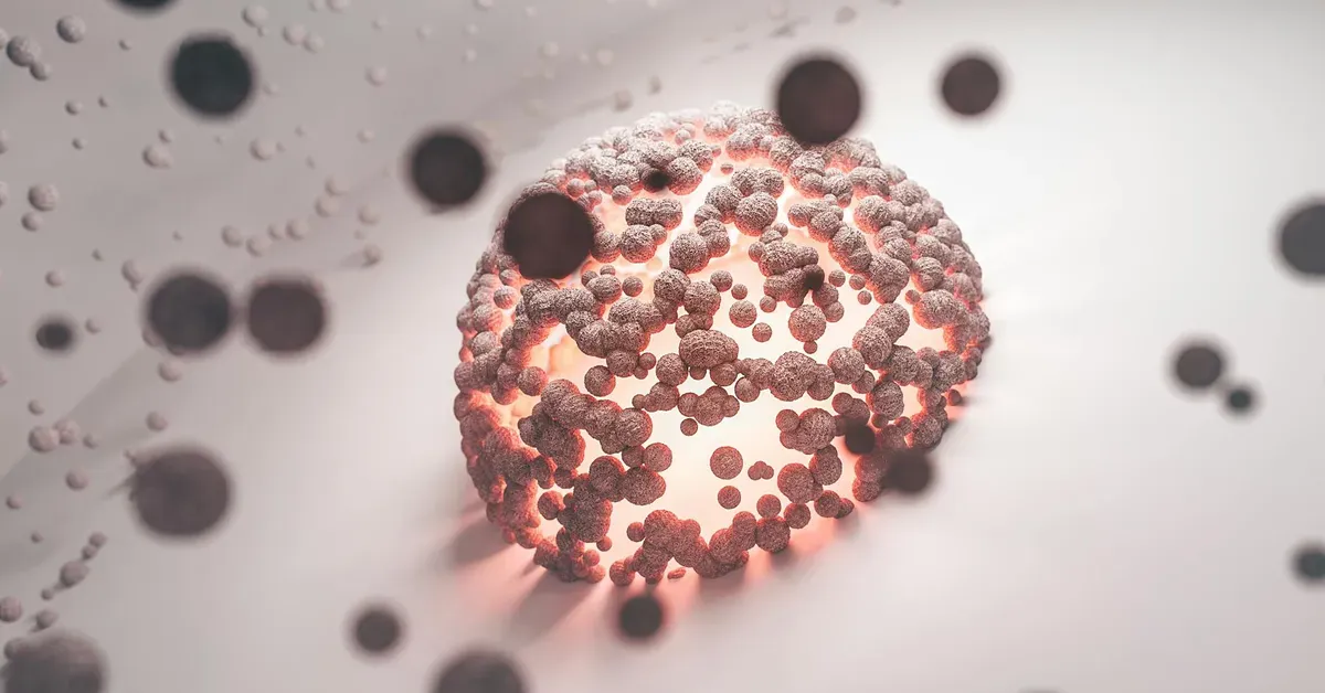 Article featured image